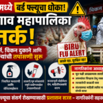 नवापूरमध्ये बर्ड फ्ल्यूचा धोका वाढला; जळगाव महापालिका अलर्ट मोडवर, पोल्ट्री आणि चिकन दुकानांची तपासणी सुरू