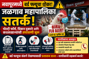 नवापूरमध्ये बर्ड फ्ल्यूचा धोका वाढला; जळगाव महापालिका अलर्ट मोडवर, पोल्ट्री आणि चिकन दुकानांची तपासणी सुरू