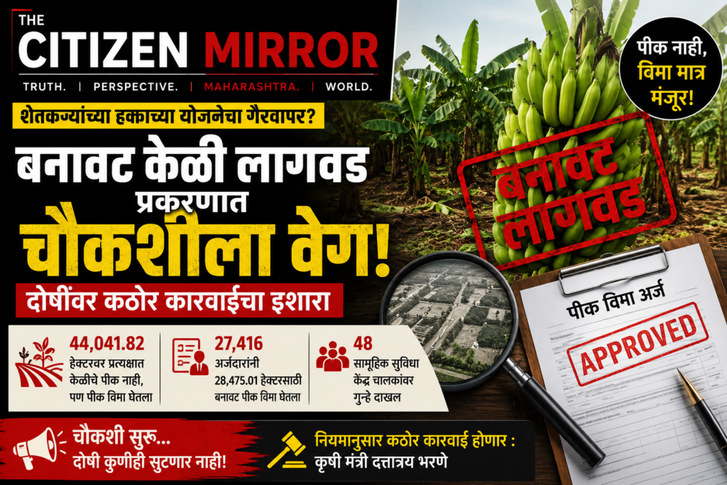 केळी पीक विमा घोटाळ्यावर मोठा खुलासा! ४४ हजार हेक्टरवर पीकच नव्हते; चौकशीला वेग, दोषींवर कठोर कारवाईचा इशारा
