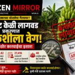केळी पीक विमा घोटाळ्यावर मोठा खुलासा! ४४ हजार हेक्टरवर पीकच नव्हते; चौकशीला वेग, दोषींवर कठोर कारवाईचा इशारा